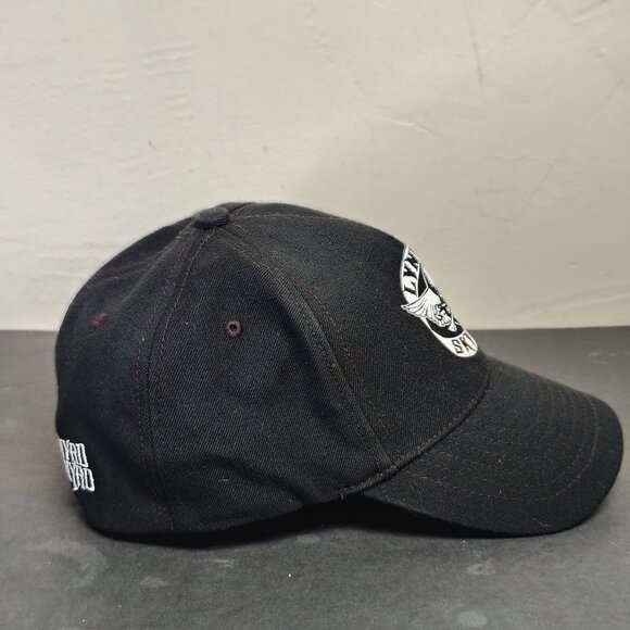 Vintage Lynard Skynard Winderland Hat Cap Classic Rock Unifit Regular Skull Logo - Picture 4 of 10